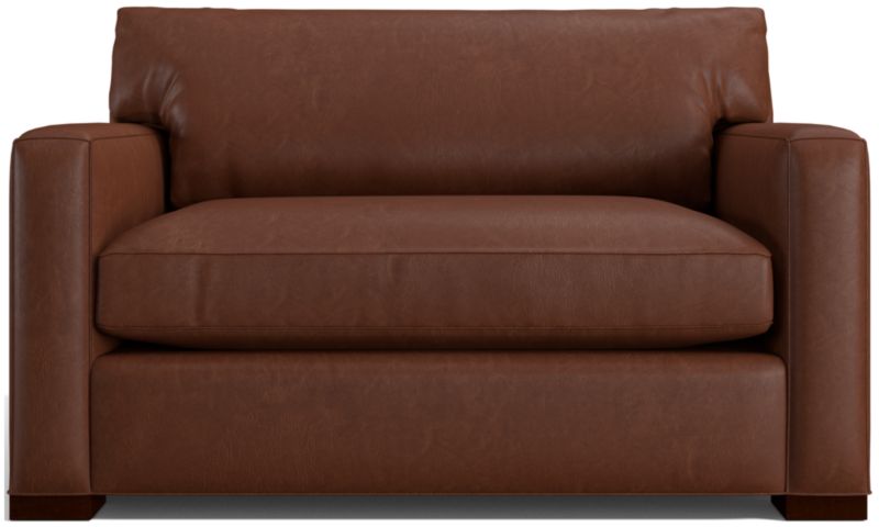 Axis Leather Twin Sleeper Sofa - image 0 of 7